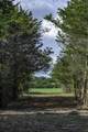 468 (Lot 16) Vineyard View Trail - Photo 17