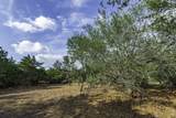 468 (Lot 16) Vineyard View Trail - Photo 18
