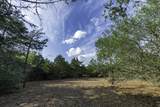 468 (Lot 16) Vineyard View Trail - Photo 19