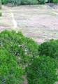 195 Hidden Shores Loop - Photo 15