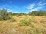 1345 Davis Road - Photo 16