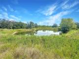 1345 Davis Road - Photo 5