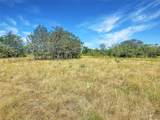 1345 Davis Road - Photo 7