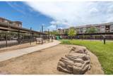 15255 Vintage Preserve Parkway - Photo 15