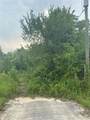 19050 Fm 1314 Road - Photo 1