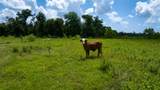 4799 County Road 652 - Photo 34