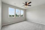 4307 Larkspur Street - Photo 11