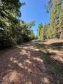 N/a Lot 19 Holly Hill Road - Photo 5