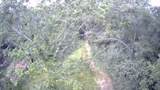 844 Pd Selman Road - Photo 5