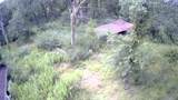 844 Pd Selman Road - Photo 6