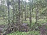 TBD Holik Road - Photo 11