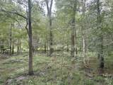 TBD Holik Road - Photo 12