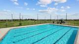 4303 Waving Willow Way - Photo 42