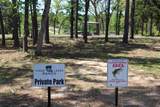 Tract 166 Private Road 1311 - Photo 8