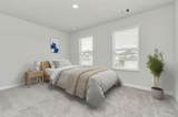 18538 Athena Flower Drive - Photo 21