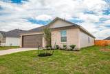 1018 Fringed Bluestar Drive - Photo 4