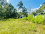 2736 Whitetail Forest Road - Photo 12