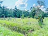 2736 Whitetail Forest Road - Photo 3