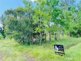 2736 Whitetail Forest Road - Photo 5
