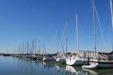 7000 Seawall Boulevard - Photo 34
