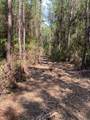 19853 Ghost Road - Photo 6