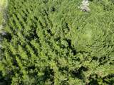 6 Fm 1013, Cr 517 - Photo 16