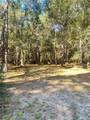 24445 Pipestem Drive - Photo 5