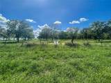TR 2 Fm 1784 - Photo 19
