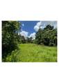 000 Bland Street - Photo 3