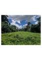 000 Bland Street - Photo 6
