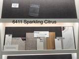 6411 Sparkling Citrus Street - Photo 18