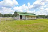 24783 Nine Bar Road - Photo 15