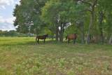 24783 Nine Bar Road - Photo 26