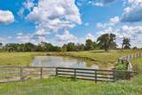 24783 Nine Bar Road - Photo 31