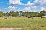 24783 Nine Bar Road - Photo 34