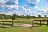 24783 Nine Bar Road - Photo 35
