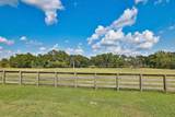 24783 Nine Bar Road - Photo 36