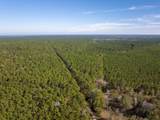 000 Forest Service Road 527 - Photo 14