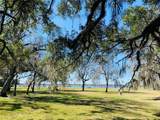 101 Trailblazer Drive - Photo 13