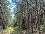 0 County Line Road - Photo 10