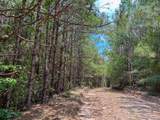 0 County Line Road - Photo 13