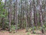 0 County Line Road - Photo 14