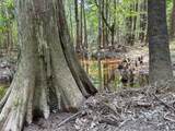 0 County Line Road - Photo 2