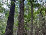 0 County Line Road - Photo 20