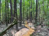 0 County Line Road - Photo 21
