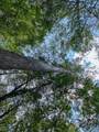 0 County Line Road - Photo 3