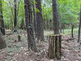 0 County Line Road - Photo 4