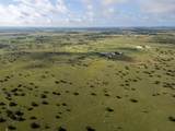 TBD County Road 2337 - Photo 4