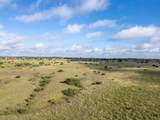 TBD County Road 2337 - Photo 7