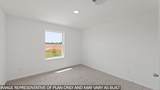 22719 Primrose Wind Lane - Photo 13